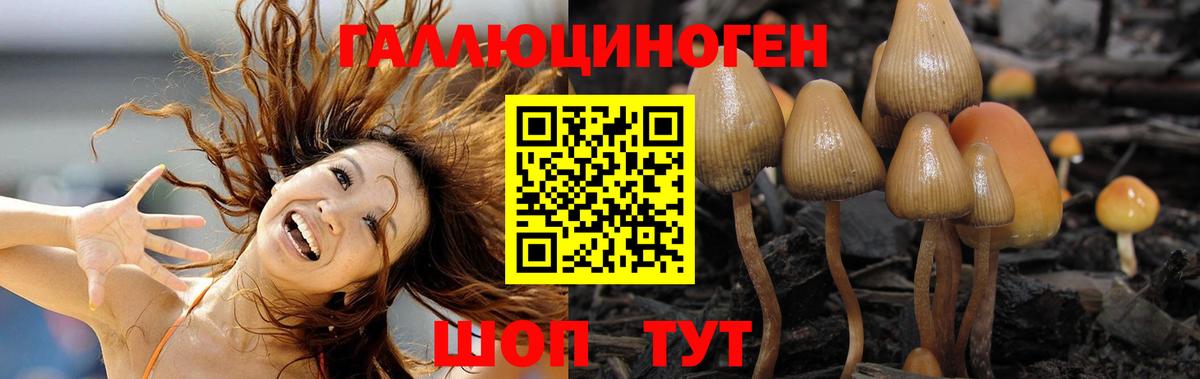 Галлюциногенные грибы Psilocybine cubensis  Вход с VPN  Губкинский  Галлюциногенные грибы Magic Shrooms 