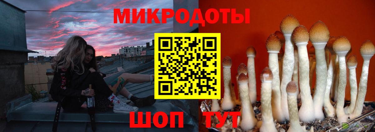 Псилоцибиновые грибы прущие грибы Губкинский